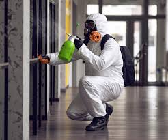 Best Biohazard Mold Removal  in USA